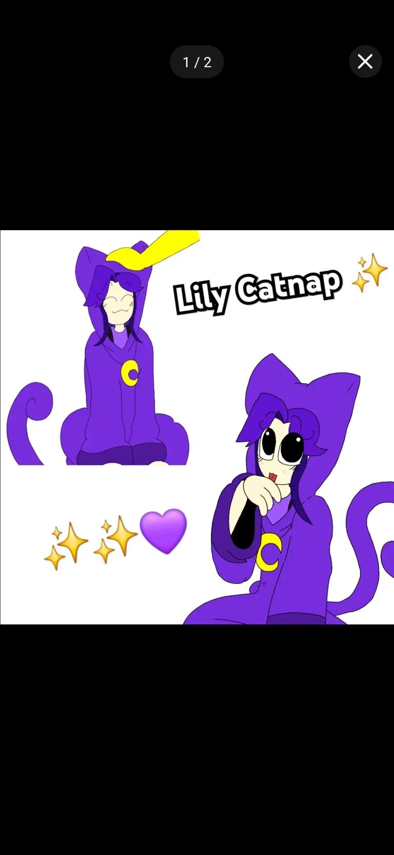 LILY Catnap thumbnail