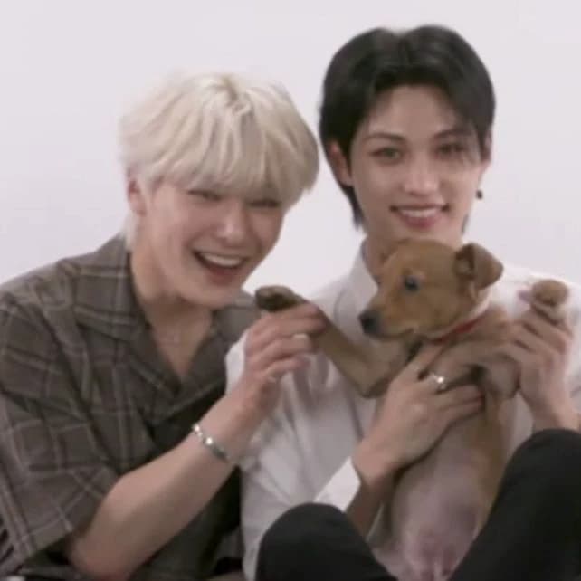 Stray Kids/-puppy interview thumbnail
