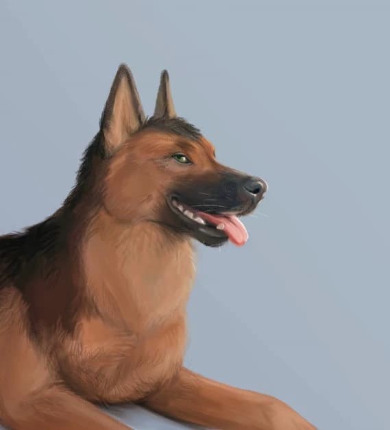 Max and Rover thumbnail