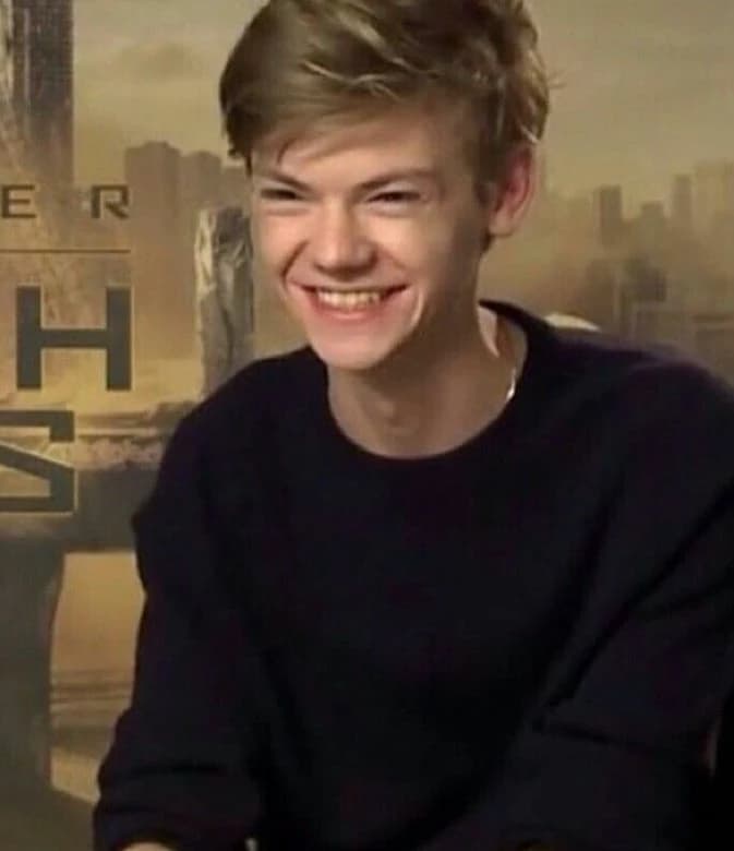 Newt BL The Maze Runner thumbnail