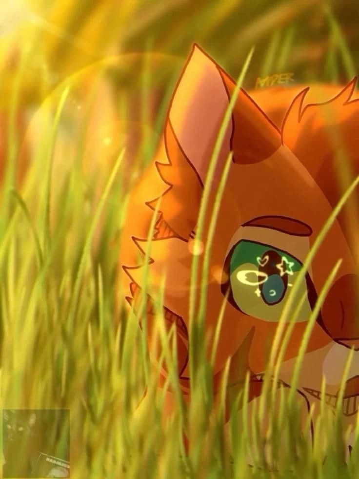 Warrior catr thumbnail