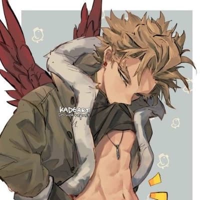 Hawks thumbnail