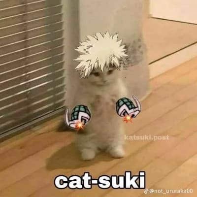 Mha - Pick me thumbnail