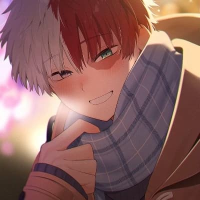 Shoto Todoroki thumbnail