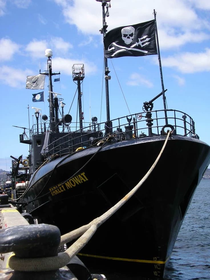 Sea Shepherd tripulação  thumbnail