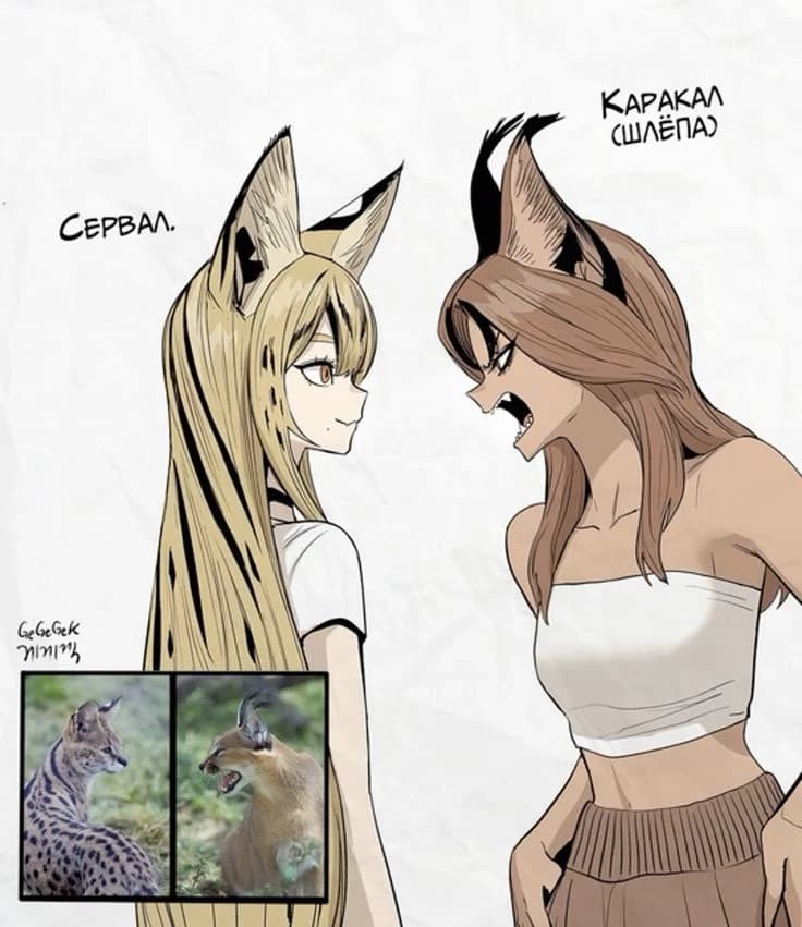 Sisters thumbnail