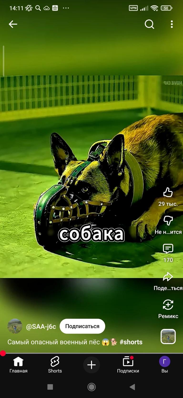 Создатель: Саша.  thumbnail