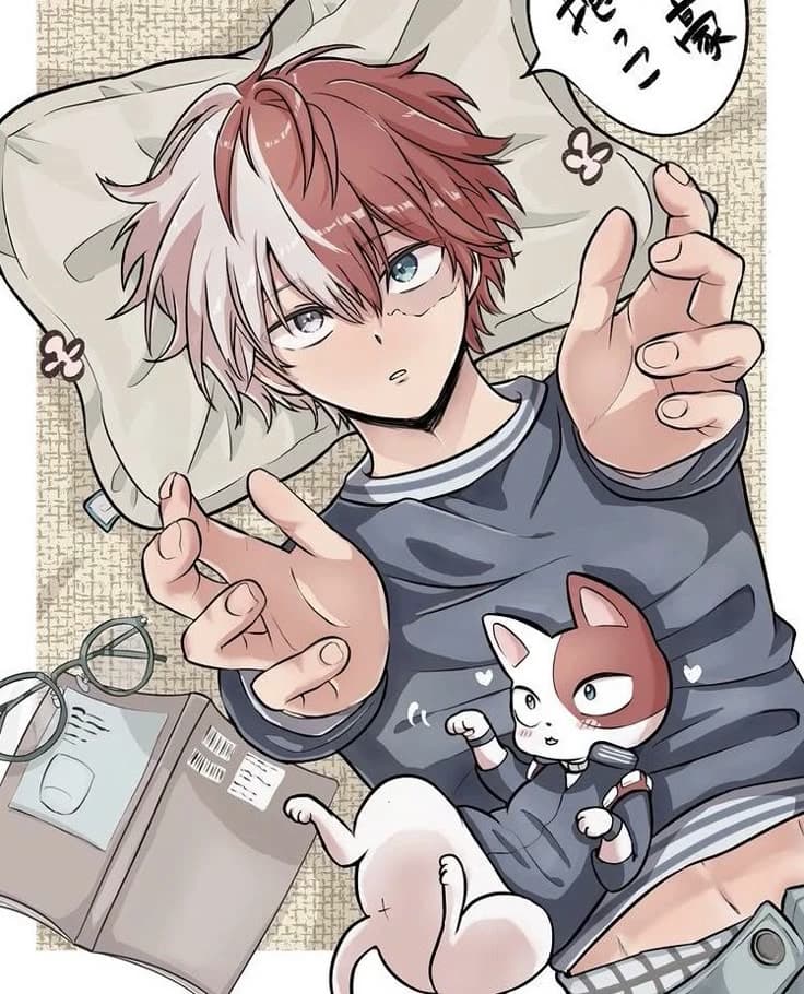 shoto todoroki  thumbnail