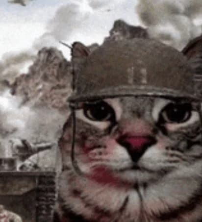 Gato con traumas de Vietnam  thumbnail