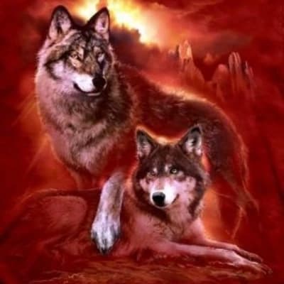 Alpha Leo Willson thumbnail