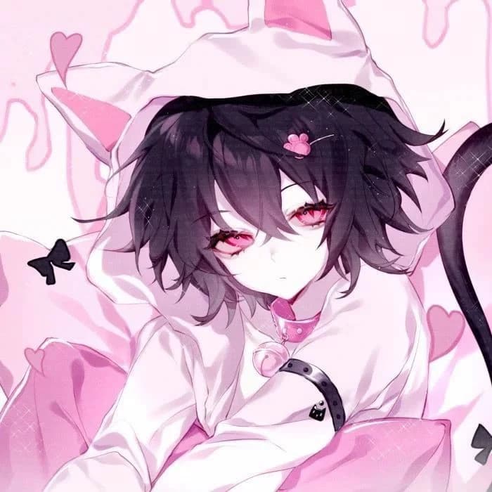 Meow 🙀 thumbnail