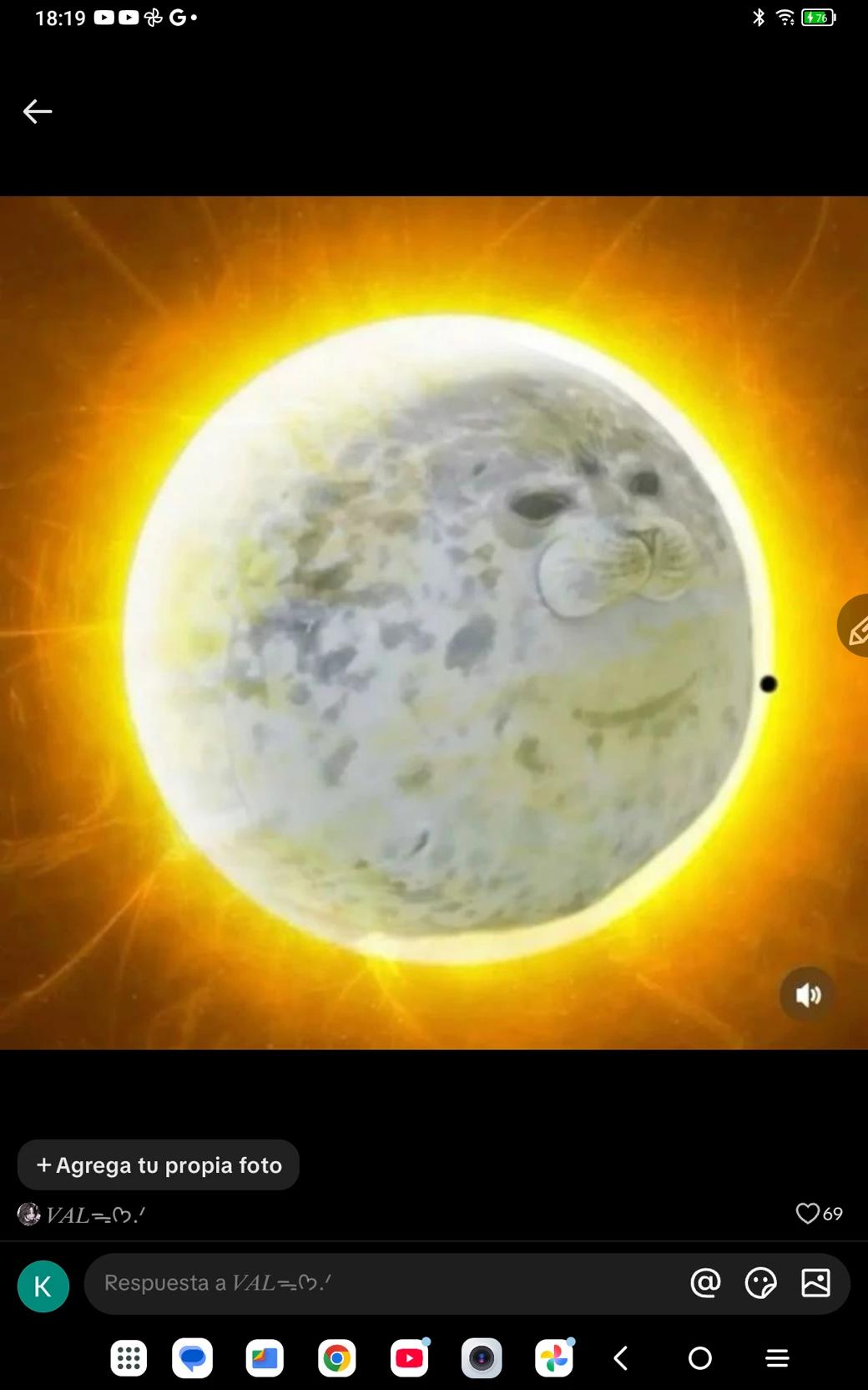 El sol es una foca thumbnail