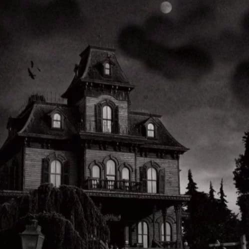 ❤️ Addams family🔪 thumbnail