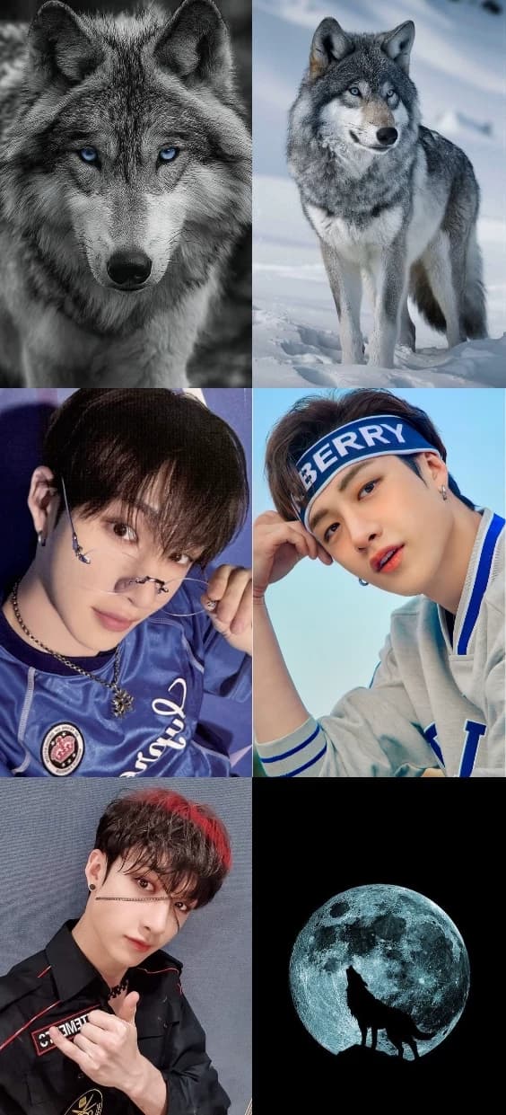 Bang Chan thumbnail