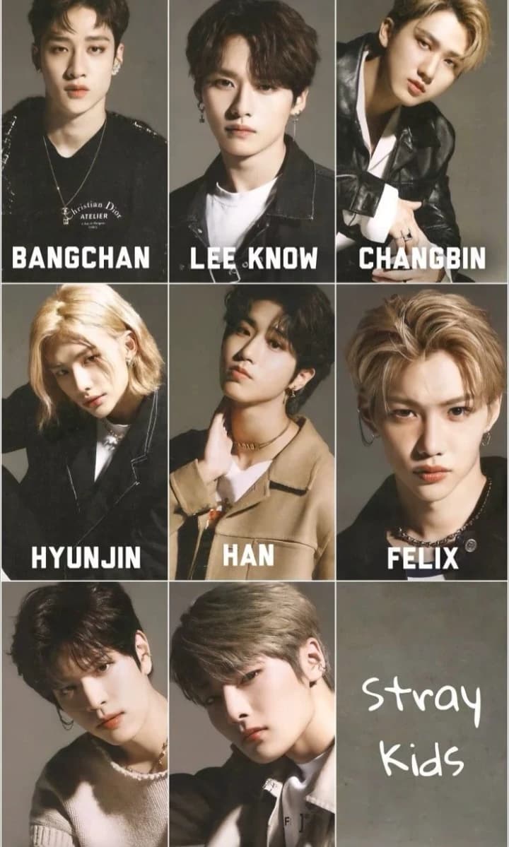 Stray kids thumbnail