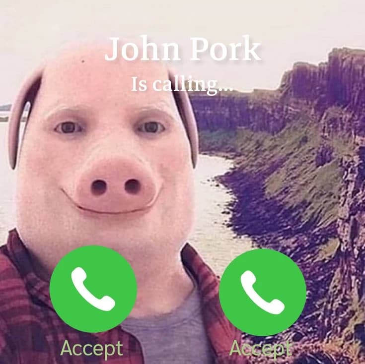 John pork thumbnail
