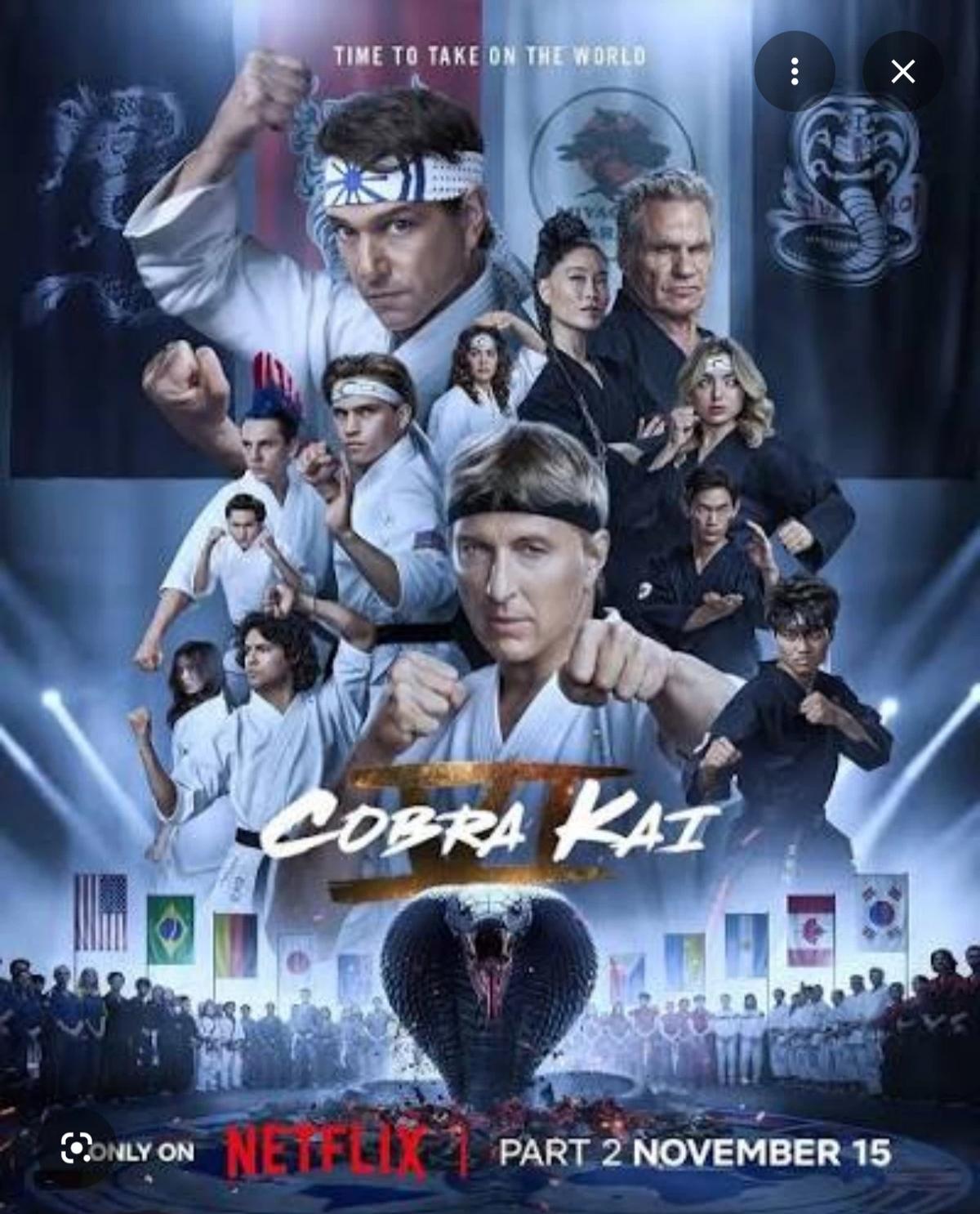 Cobra Kai thumbnail