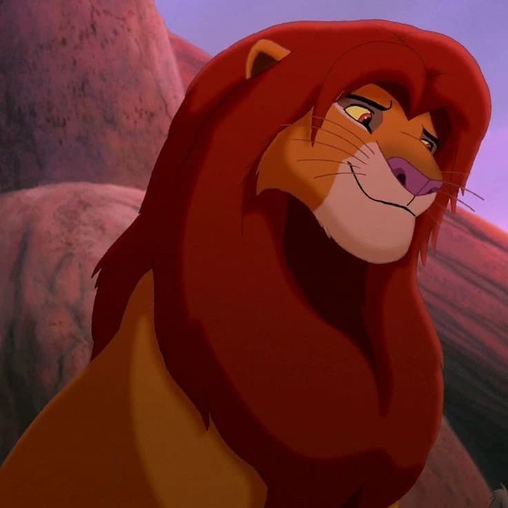 Lions thumbnail
