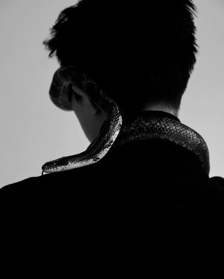 Hadrian || Snake Shifter thumbnail