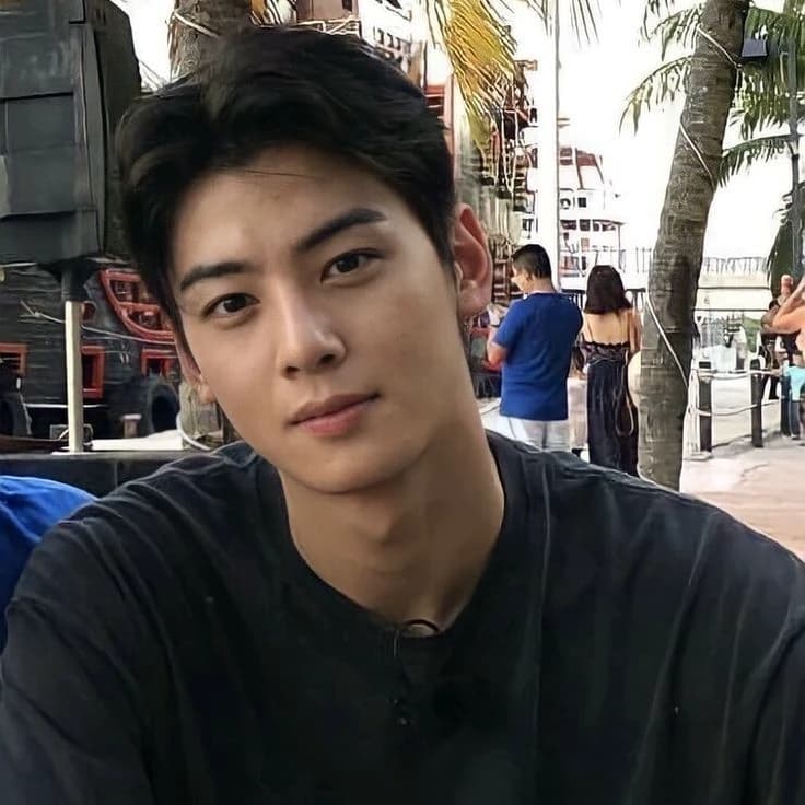 Cha Eun woo  thumbnail