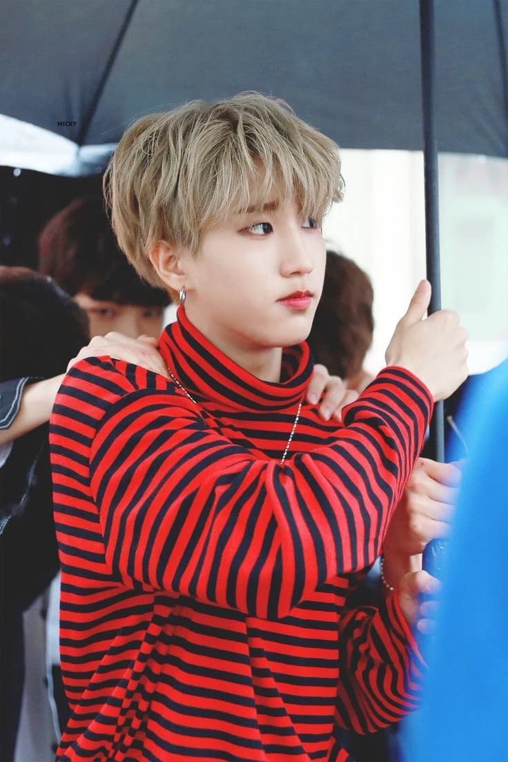 Han Jisungie thumbnail