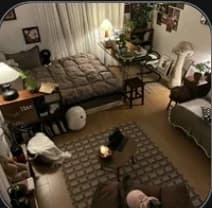 Vampire roomates thumbnail