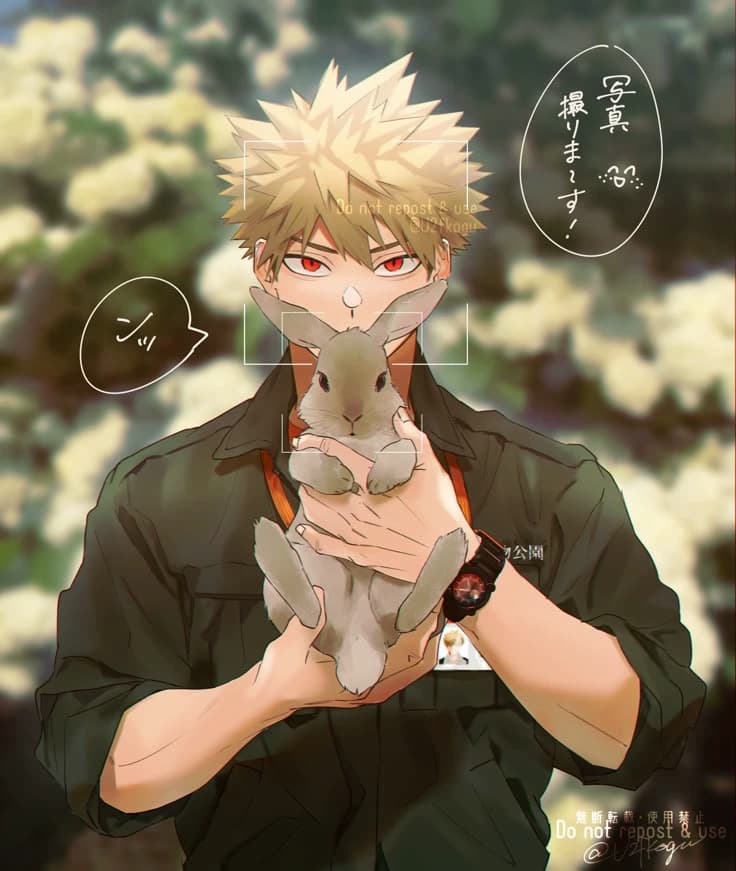 katsuki bakugo  thumbnail