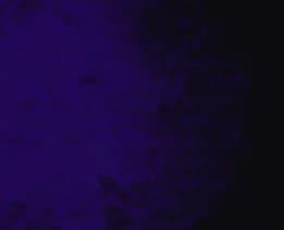 ??? thumbnail