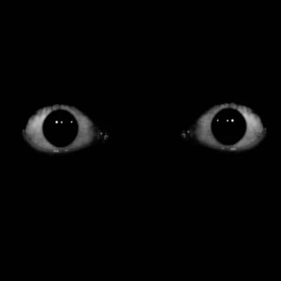 Black Entity  thumbnail