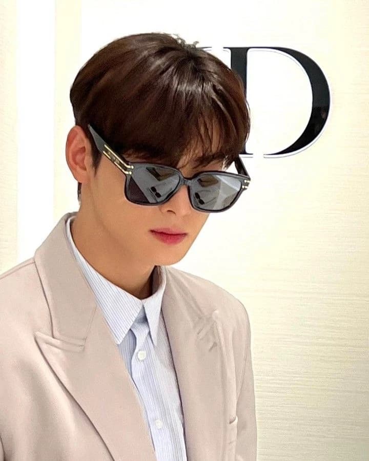 Cha eun woo  thumbnail