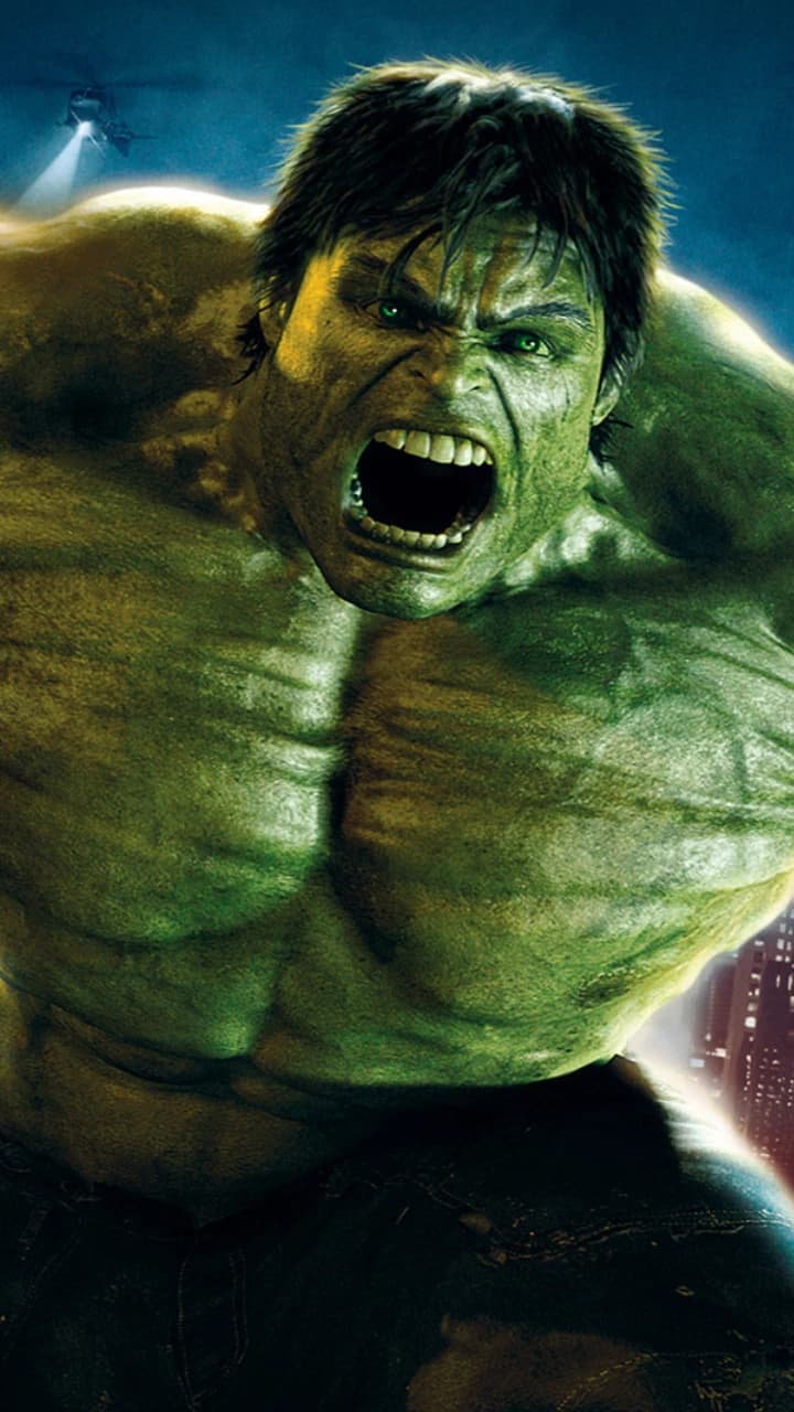 Bruce banner / Hulk 2008 thumbnail