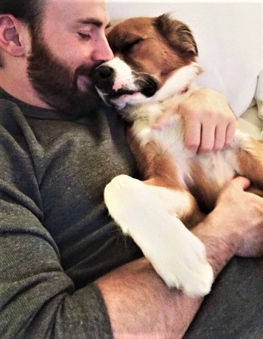 Chris Evans  thumbnail