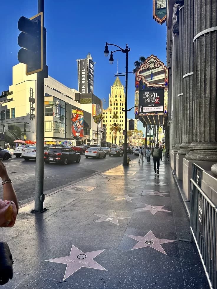 HOLLYWOOD ✨ thumbnail