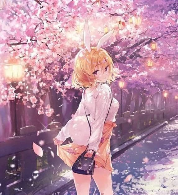 Mai Sakuragi is a teenage girl who has Puberty Syndrome or Adolescence Syndrome thumbnail