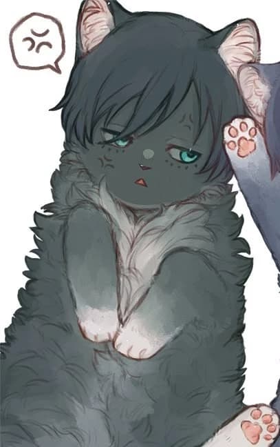 Cat Rim // BL thumbnail