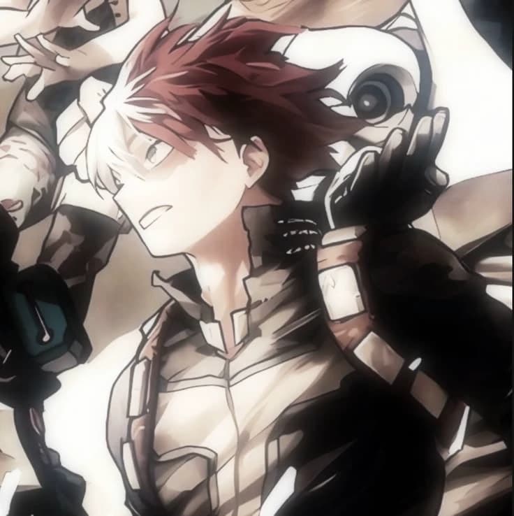 Todoroki Shoto thumbnail