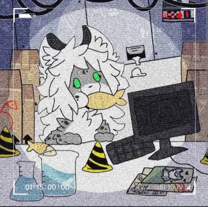 snep thumbnail