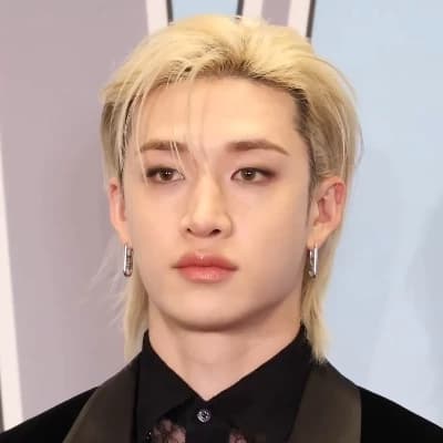 Bang Chan thumbnail
