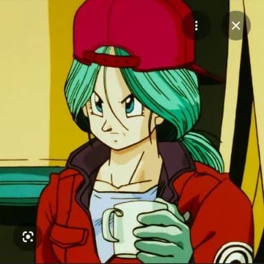 Future Bulma thumbnail