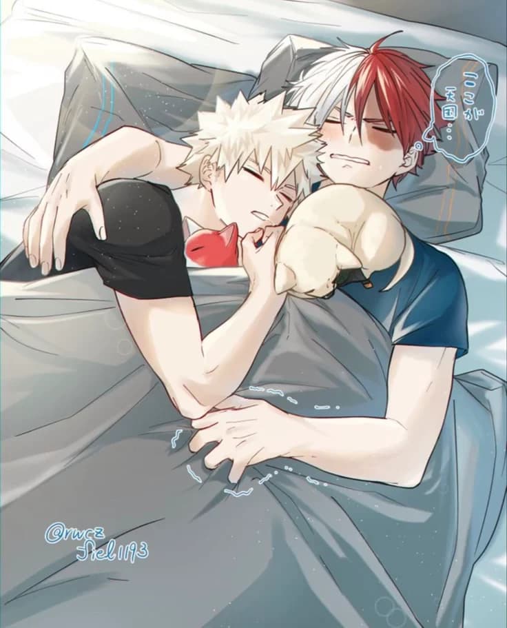 ⭒𐙚 .❄ 𝑻𝒐𝒅𝒐𝒃𝒂𝒌𝒖 // 𝑺𝒉𝒐𝒕𝒐 𝑻𝒐𝒅𝒐𝒓𝒐𝒌𝒊 🔥 . 𐙚⋆ thumbnail