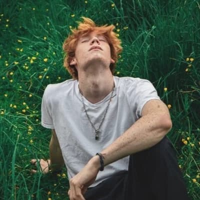 Alp thumbnail