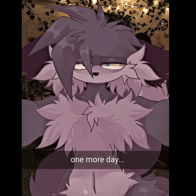 Sofia judy thumbnail