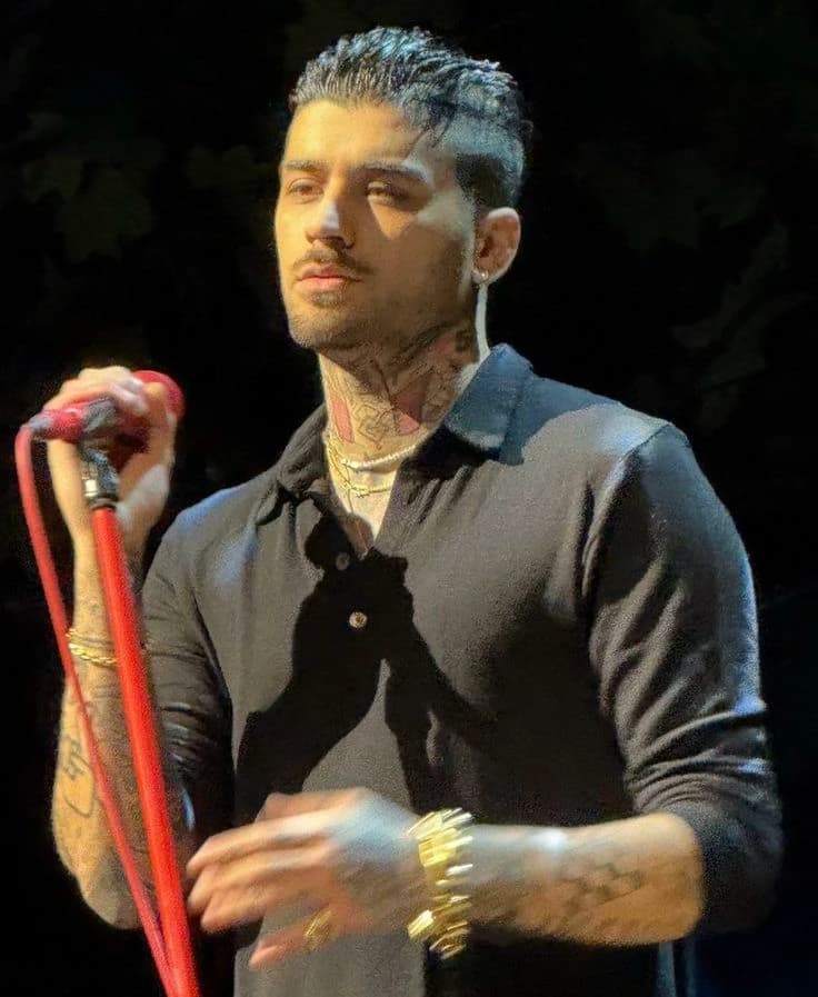 Zayn Malik  thumbnail