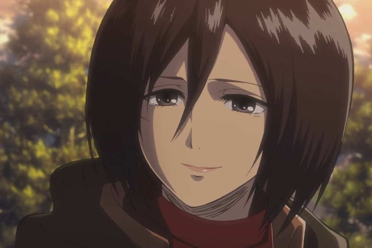 Mikasa thumbnail
