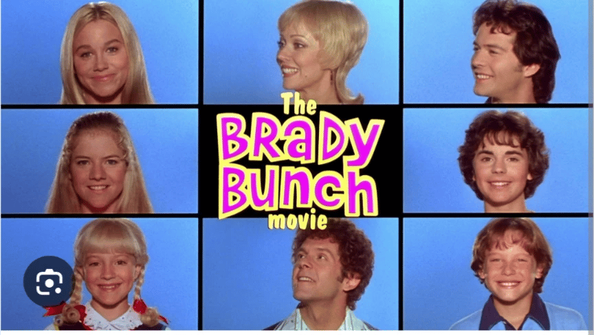 The Brady Bunch Family.  thumbnail