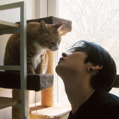Lee Know thumbnail