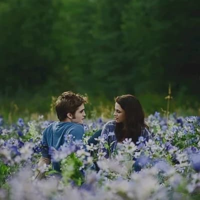 Twilight  thumbnail