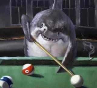 Tiburón que jabla thumbnail
