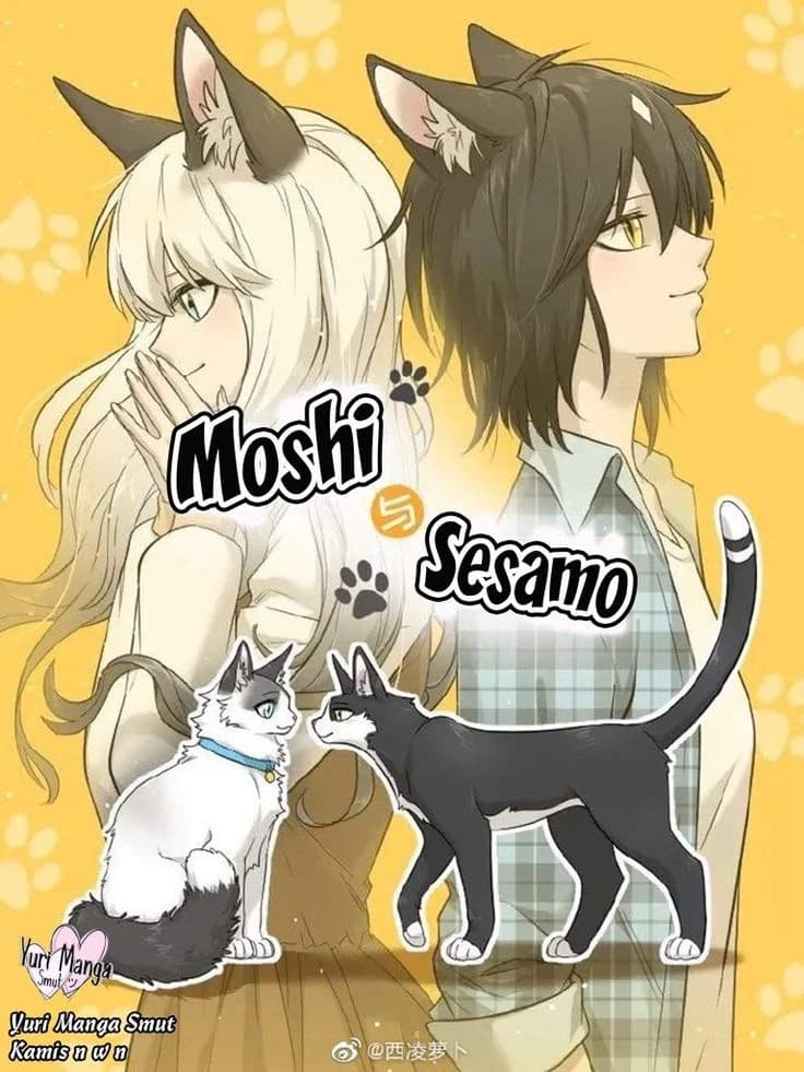 موشي وسمسمو.. حبٌ بأذنابٍ وفراء 🐱❤️🐱 thumbnail
