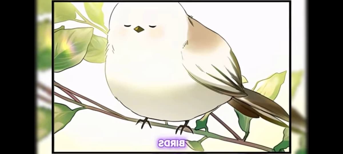 "The bird that carried the hope of the fifth generation" thumbnail